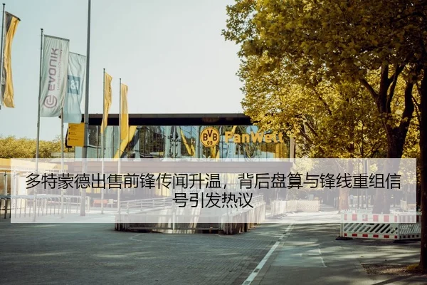 多特蒙德出售前锋传闻升温，背后盘算与锋线重组信号引发热议 - hth.com